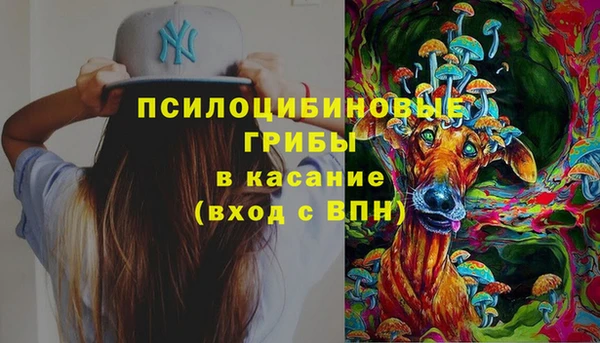 спайс Аркадак