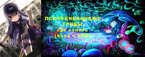 спайс Аркадак
