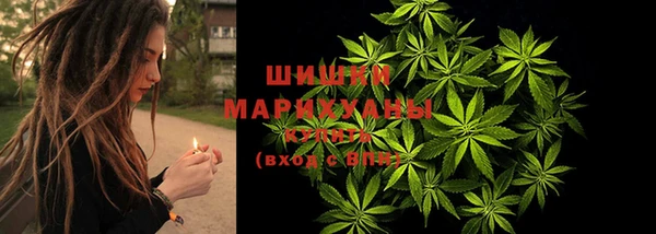спайс Аркадак